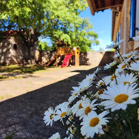 Villa Kuca Dida Jure Pridraga Esterno foto
