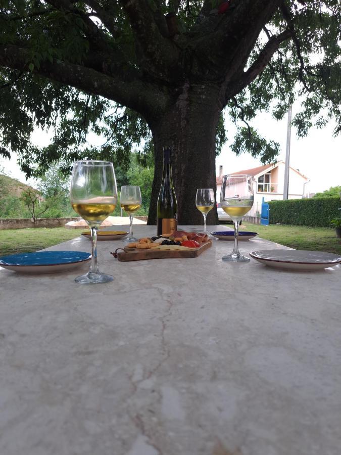 Villa Kuca Dida Jure Pridraga Esterno foto