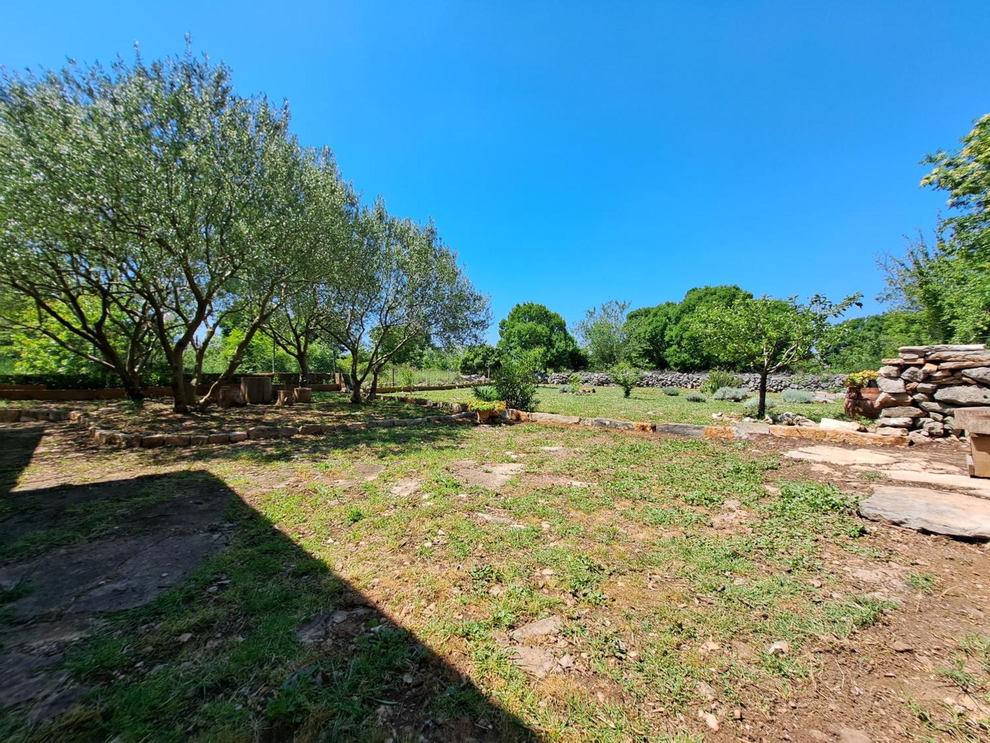 Villa Kuca Dida Jure Pridraga Esterno foto