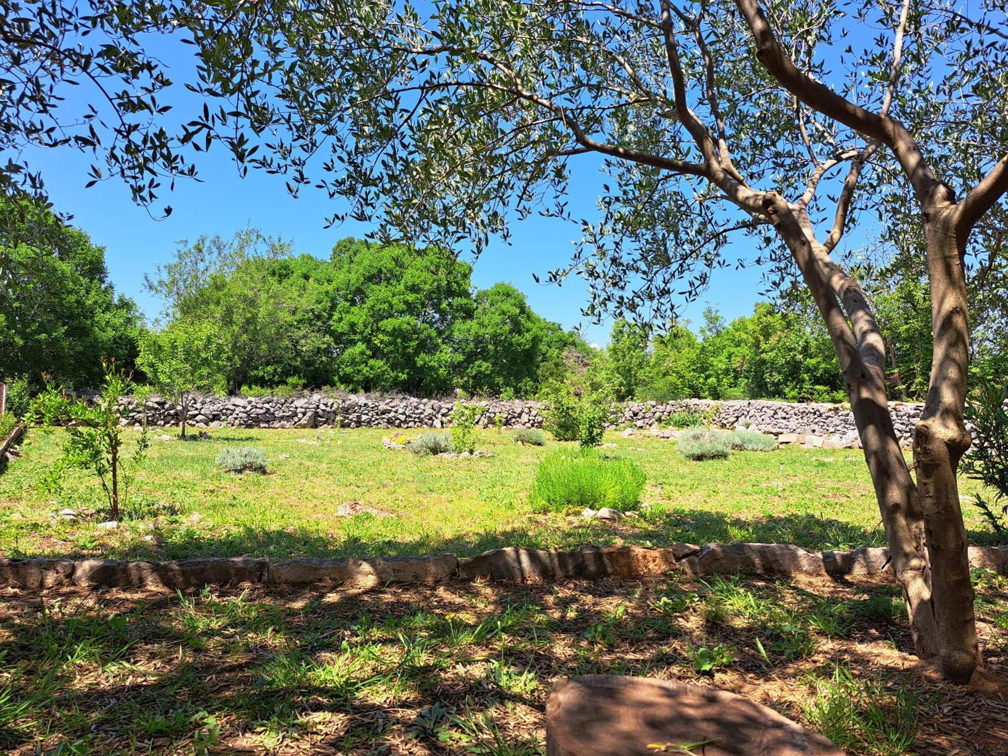 Villa Kuca Dida Jure Pridraga Esterno foto