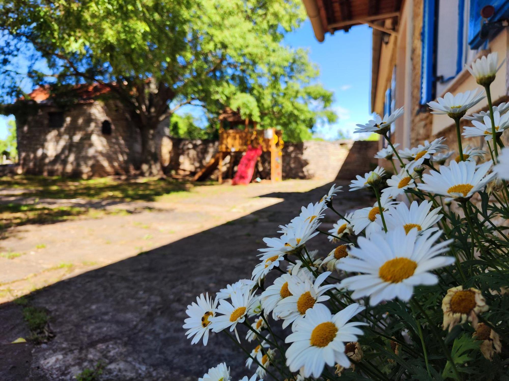 Villa Kuca Dida Jure Pridraga Esterno foto