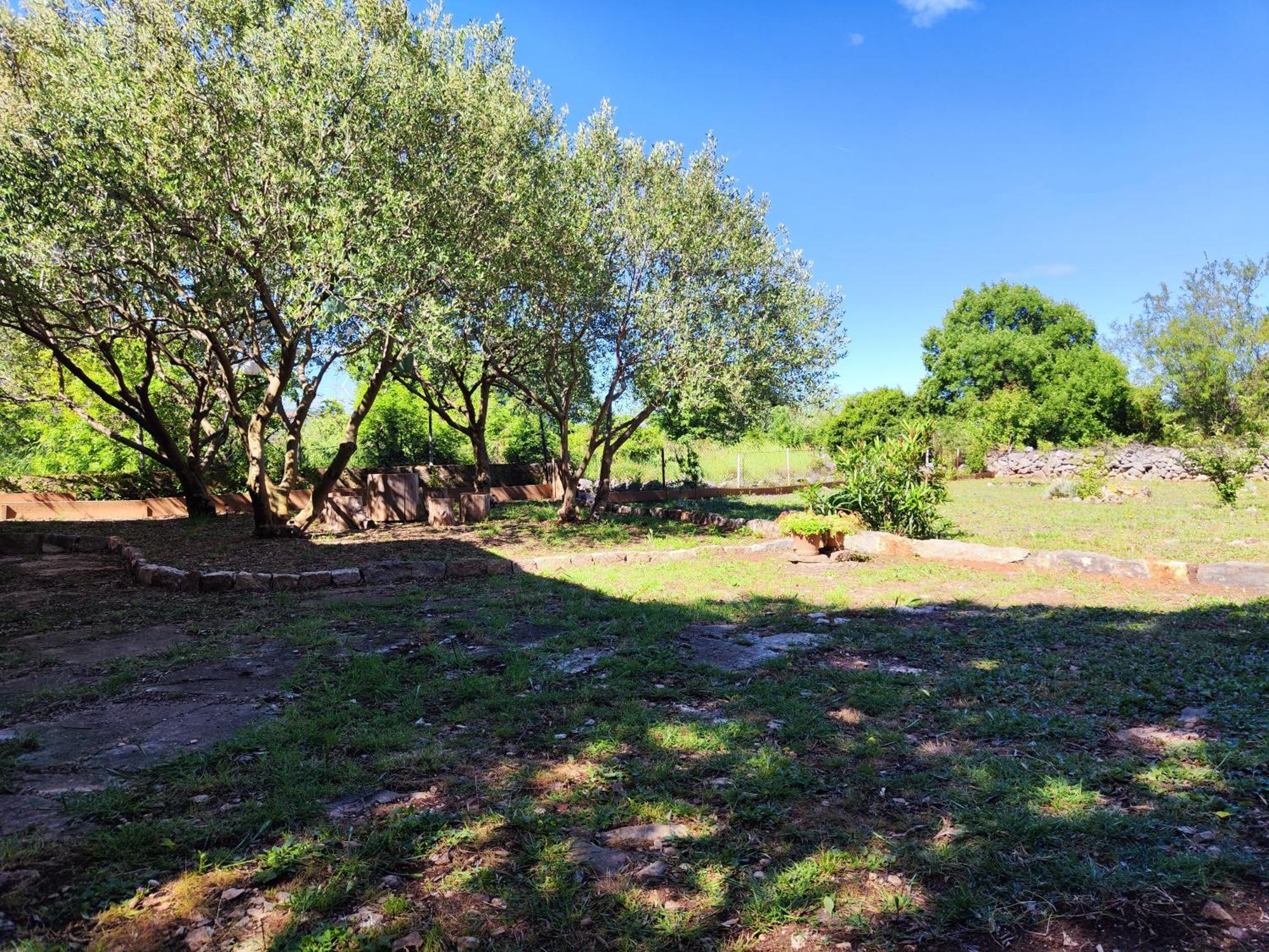 Villa Kuca Dida Jure Pridraga Esterno foto