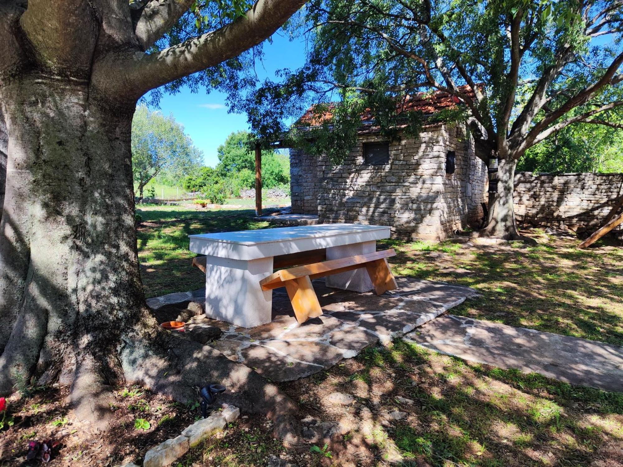 Villa Kuca Dida Jure Pridraga Esterno foto