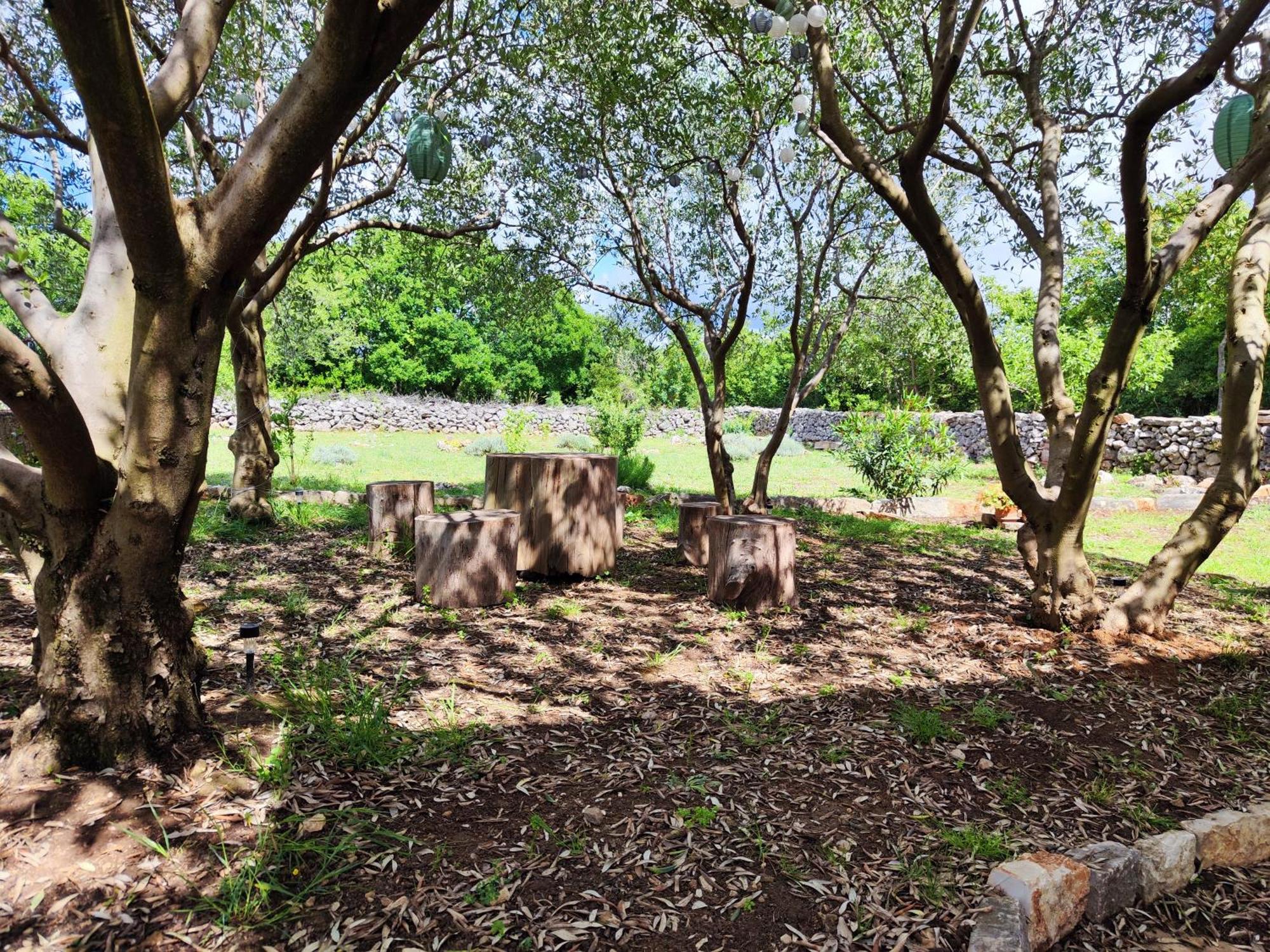 Villa Kuca Dida Jure Pridraga Esterno foto