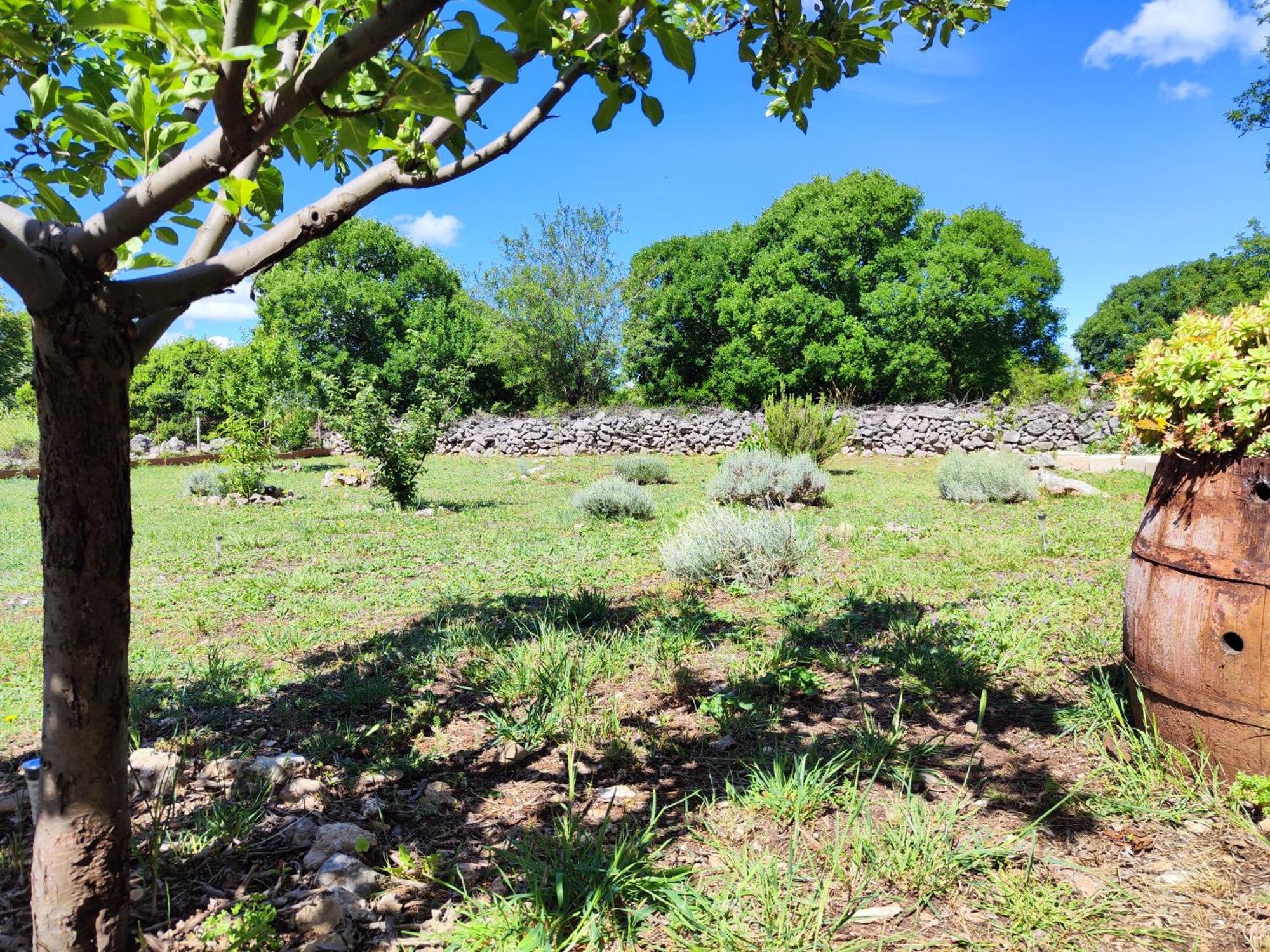 Villa Kuca Dida Jure Pridraga Esterno foto