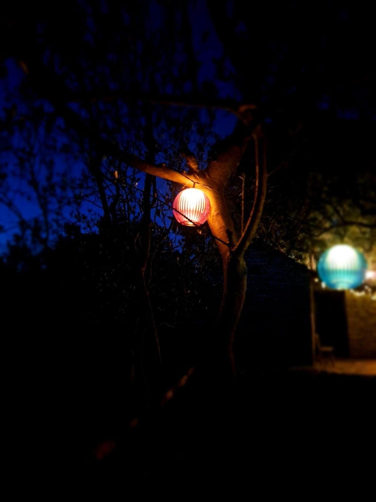 Villa Kuca Dida Jure Pridraga Esterno foto
